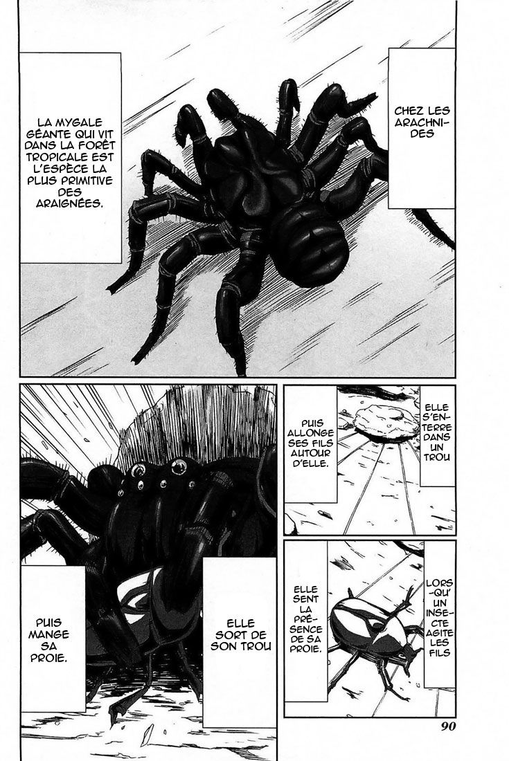 img Arachnid 2