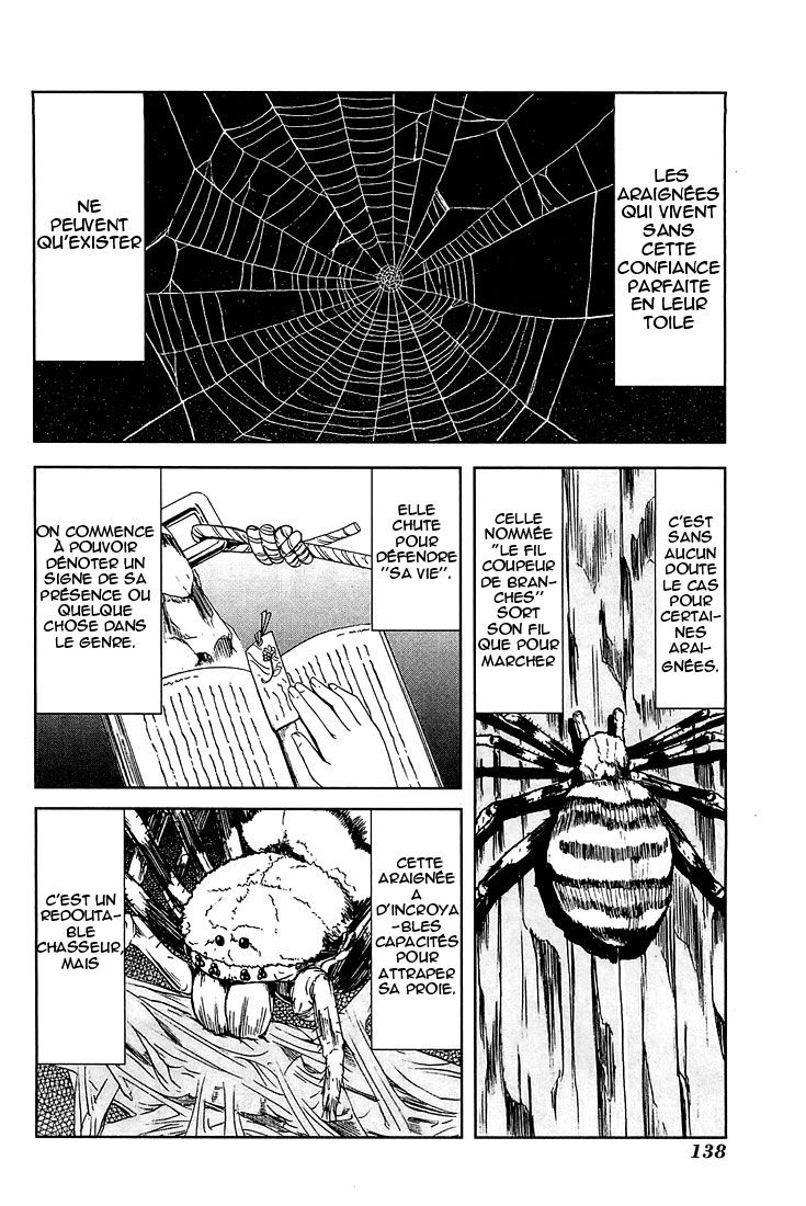 img Arachnid 10