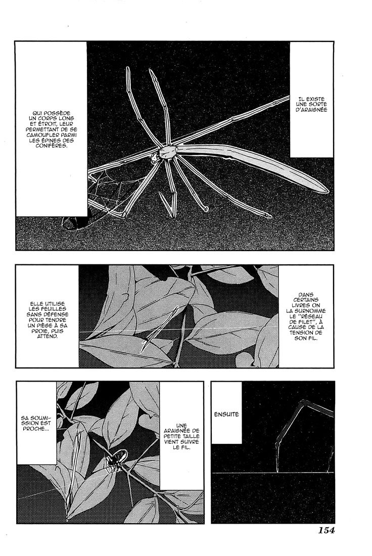 img Arachnid 4