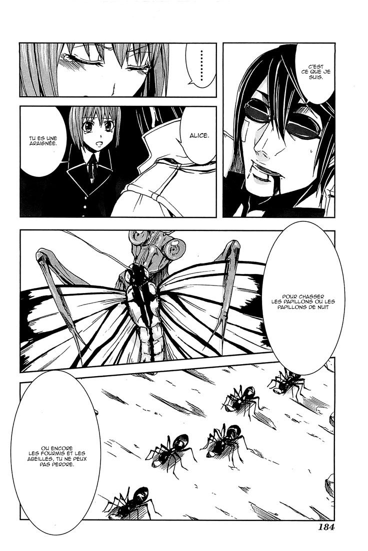 img Arachnid 34
