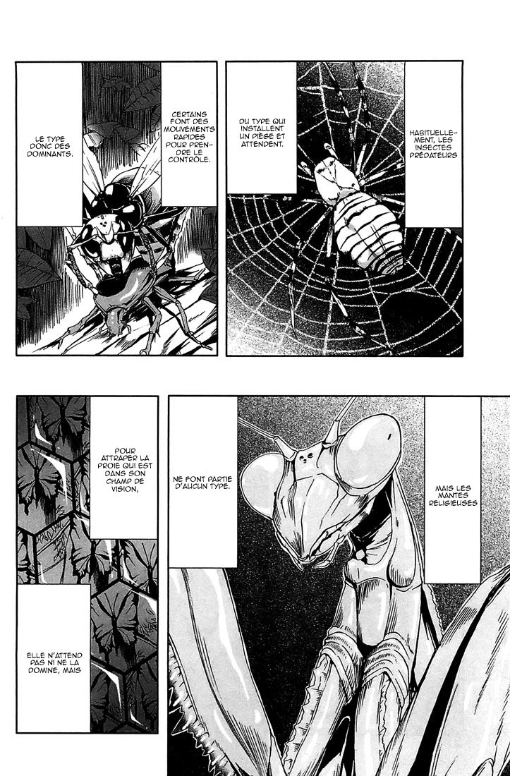 img Arachnid 35