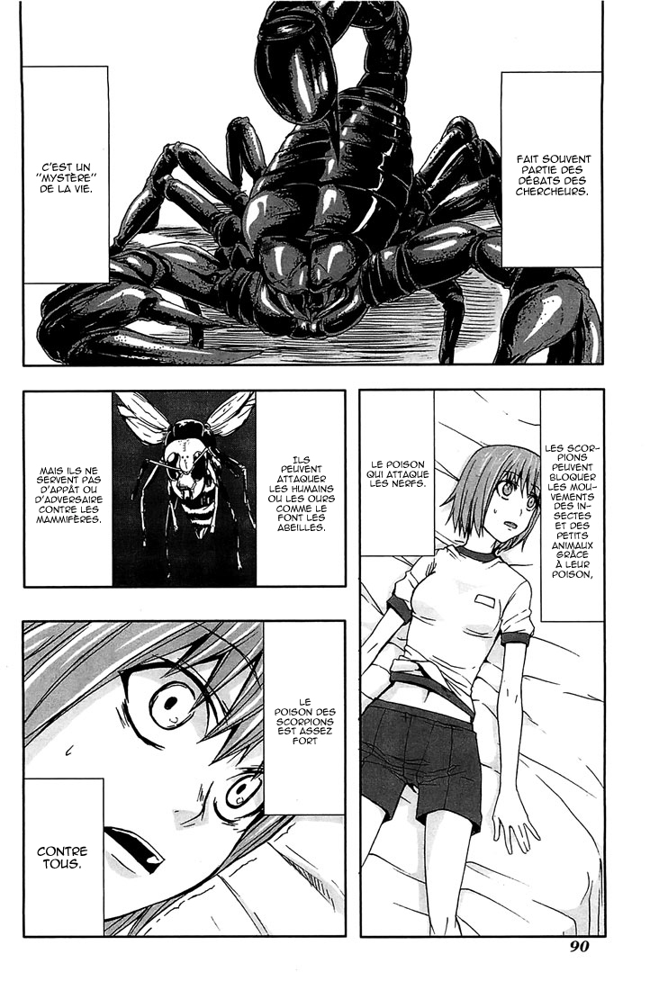 img Arachnid 38