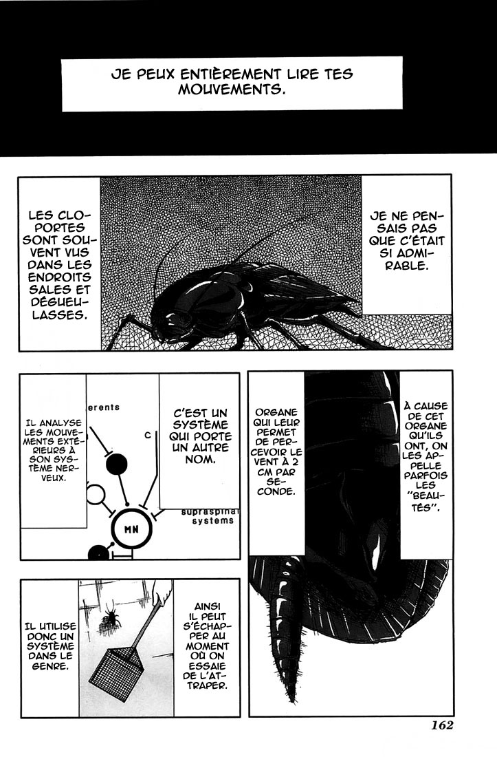 img Arachnid 31
