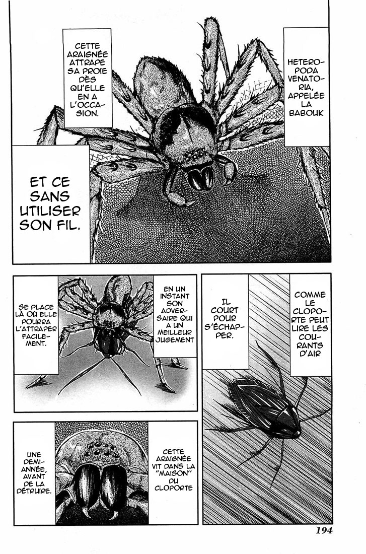 img Arachnid 22